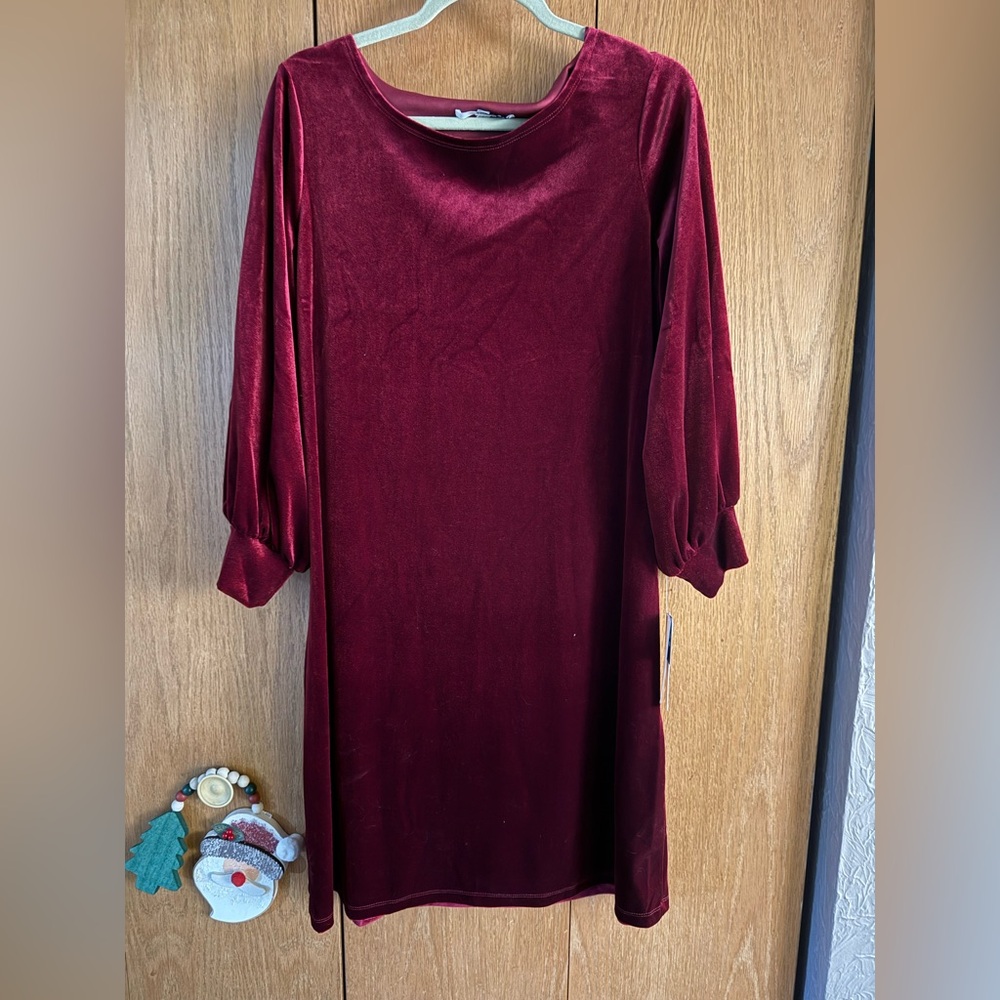Studio Velvet Long Sleeve Dress in Deep Red
